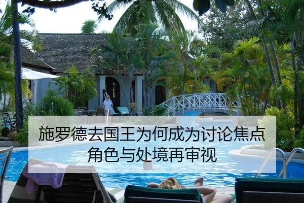 施罗德去国王为何成为讨论焦点 角色与处境再审视